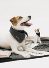 A.P.C. Toutou - Dog laying on quilt wearing denim bandana.