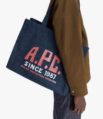 Diane Carpenter shopping bag