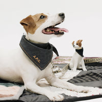 A.P.C. Toutou - Dog laying on quilt wearing denim bandana.