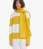 William scarf