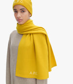 William scarf