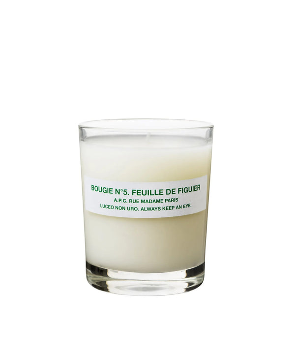 Scented Candle - VAE - Fig leaf